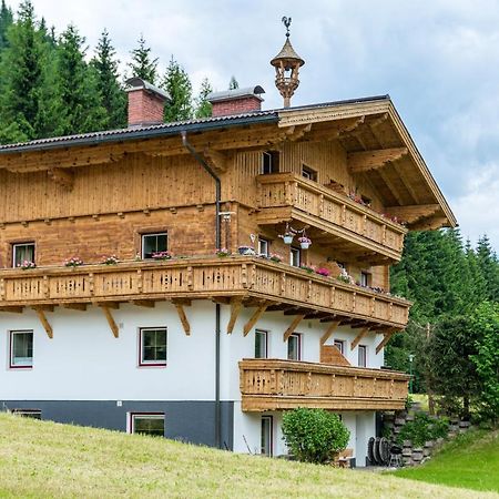 Kesselgrubs Apartements Ski & Badeglueck Eben Im Pongau Exterior photo