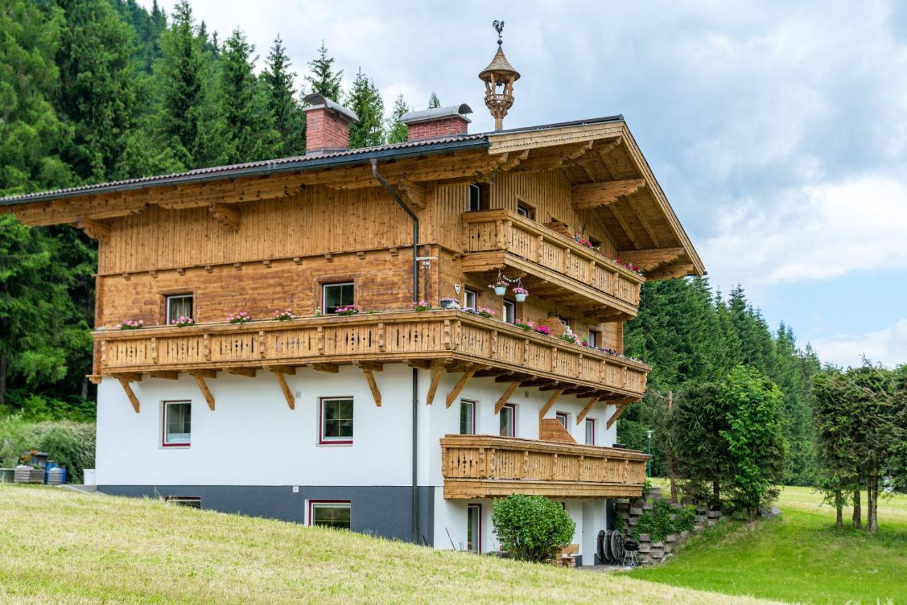Kesselgrubs Apartements Ski & Badeglueck Eben Im Pongau Exterior photo